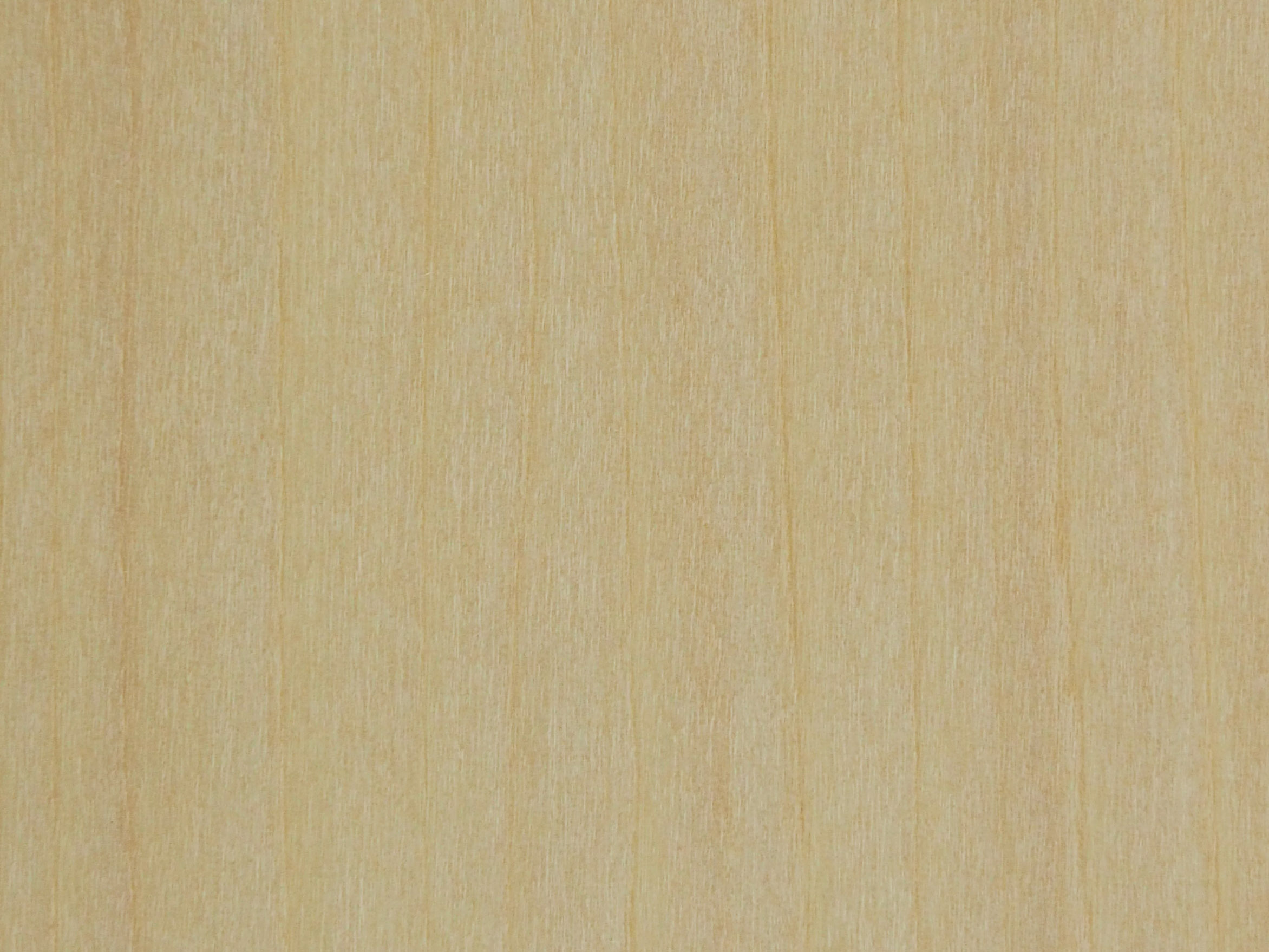 板